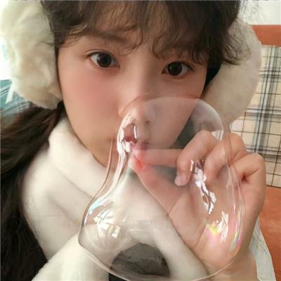 秋田犬蓬夫